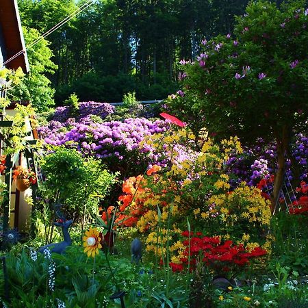 Ferienwohnung Baacke Ruhla Dış mekan fotoğraf
